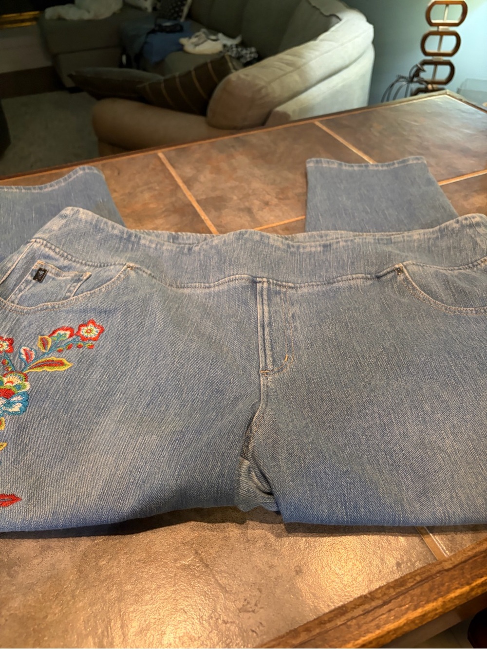 Belle by Kim Gravel Light Blue Skinny Jeans with Floral Embroidery- plus 26